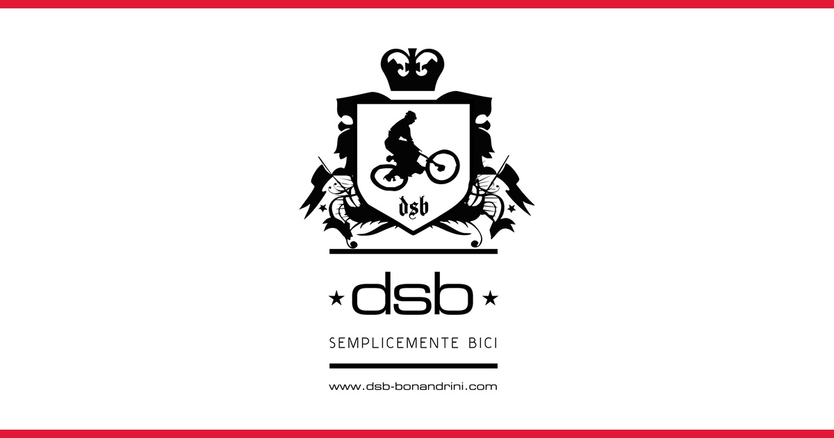 dsb-bonandrini.com